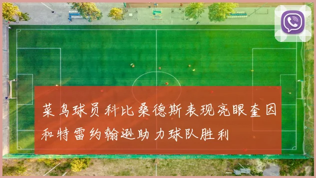 菜鸟球员科比桑德斯表现亮眼奎因和特雷约翰逊助力球队胜利