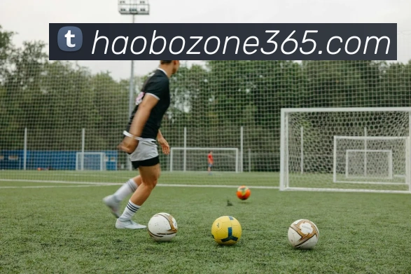 好博体育APP 封面图